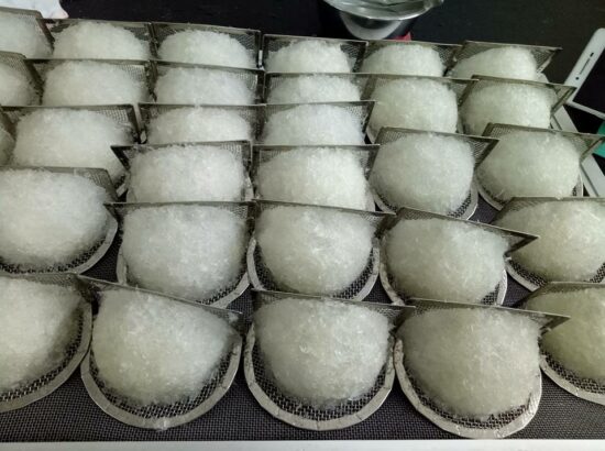 Sấy tổ yến tại nhà đơn giản và hiệu quả