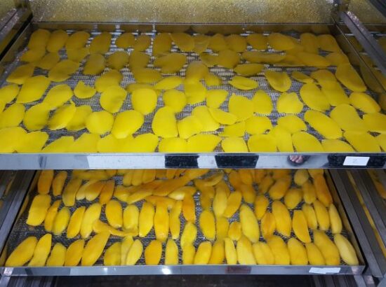 Mất bao lâu để sấy lạnh một mẻ trái cây