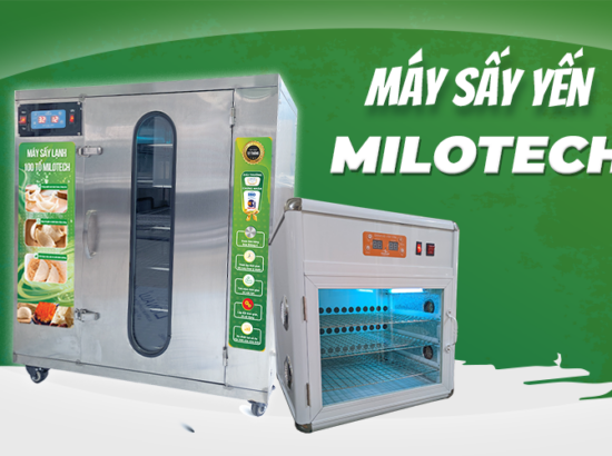 Máy sấy yến Milotech – Giải pháp cho doanh nghiệp chế biến yến